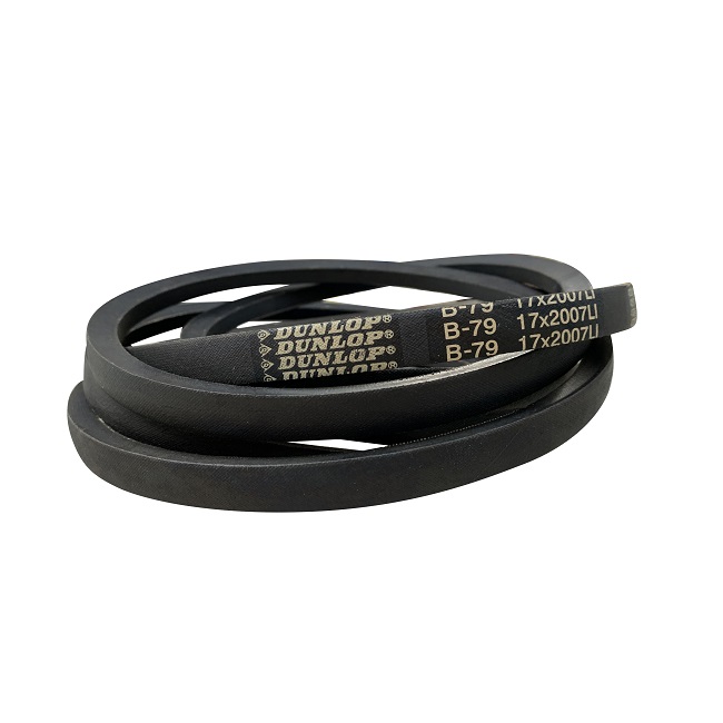 V Belt B23